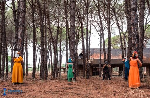 alberi_web
